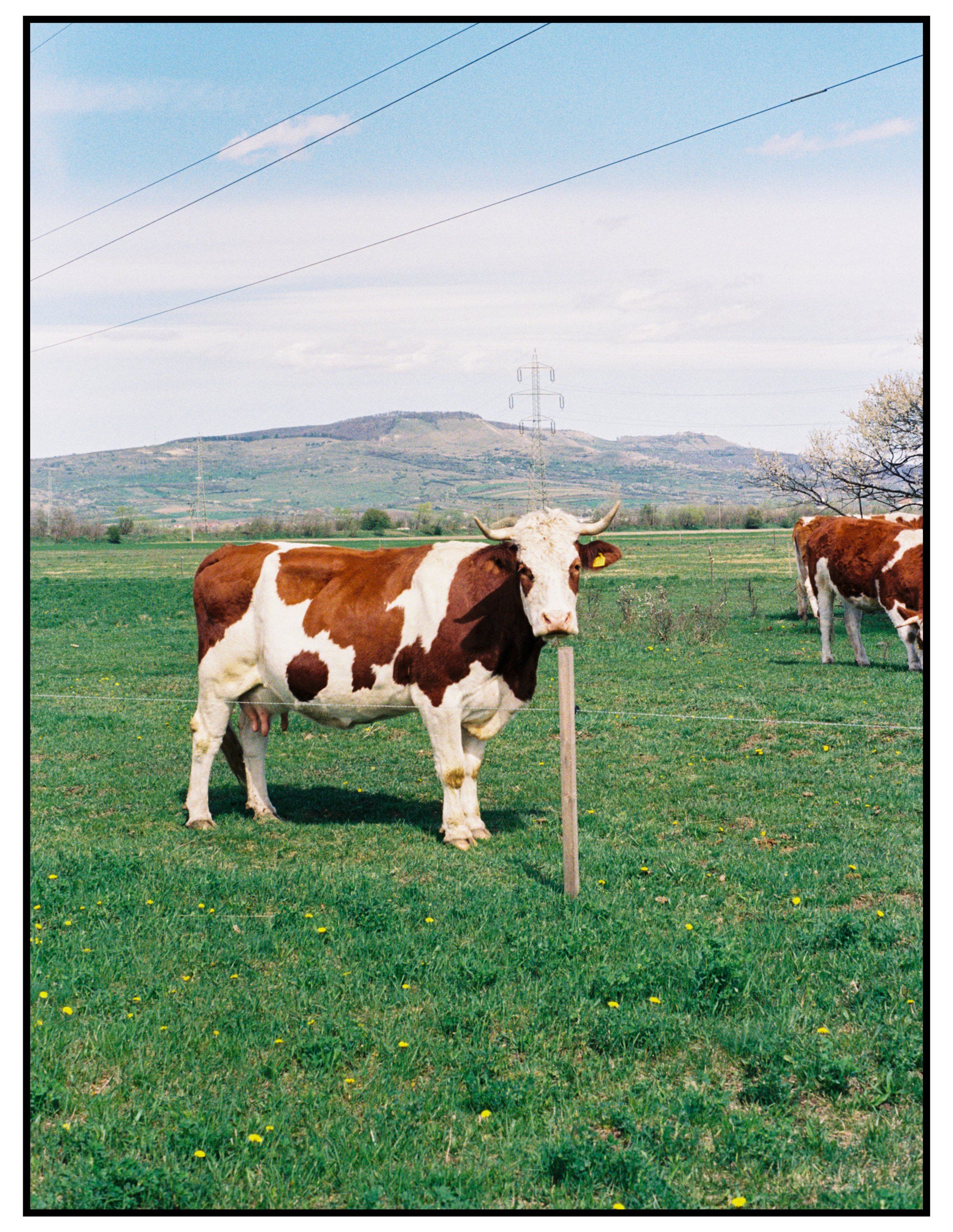 film piata mare-22.jpg