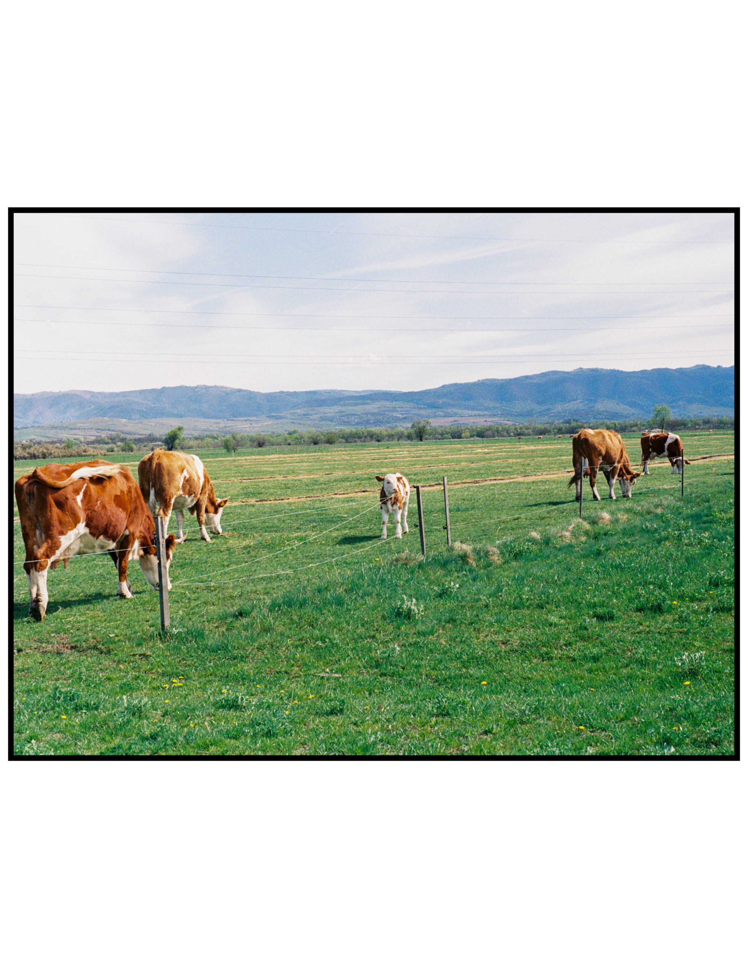 film piata mare-23.jpg