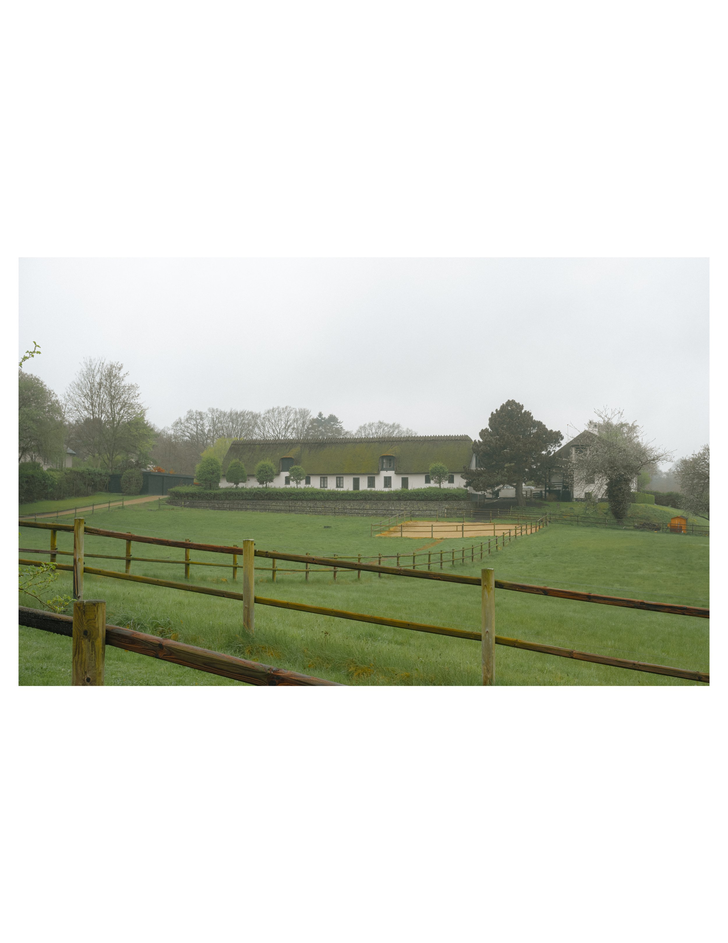 country side cows-08.jpg