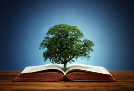 What is Wisdom?