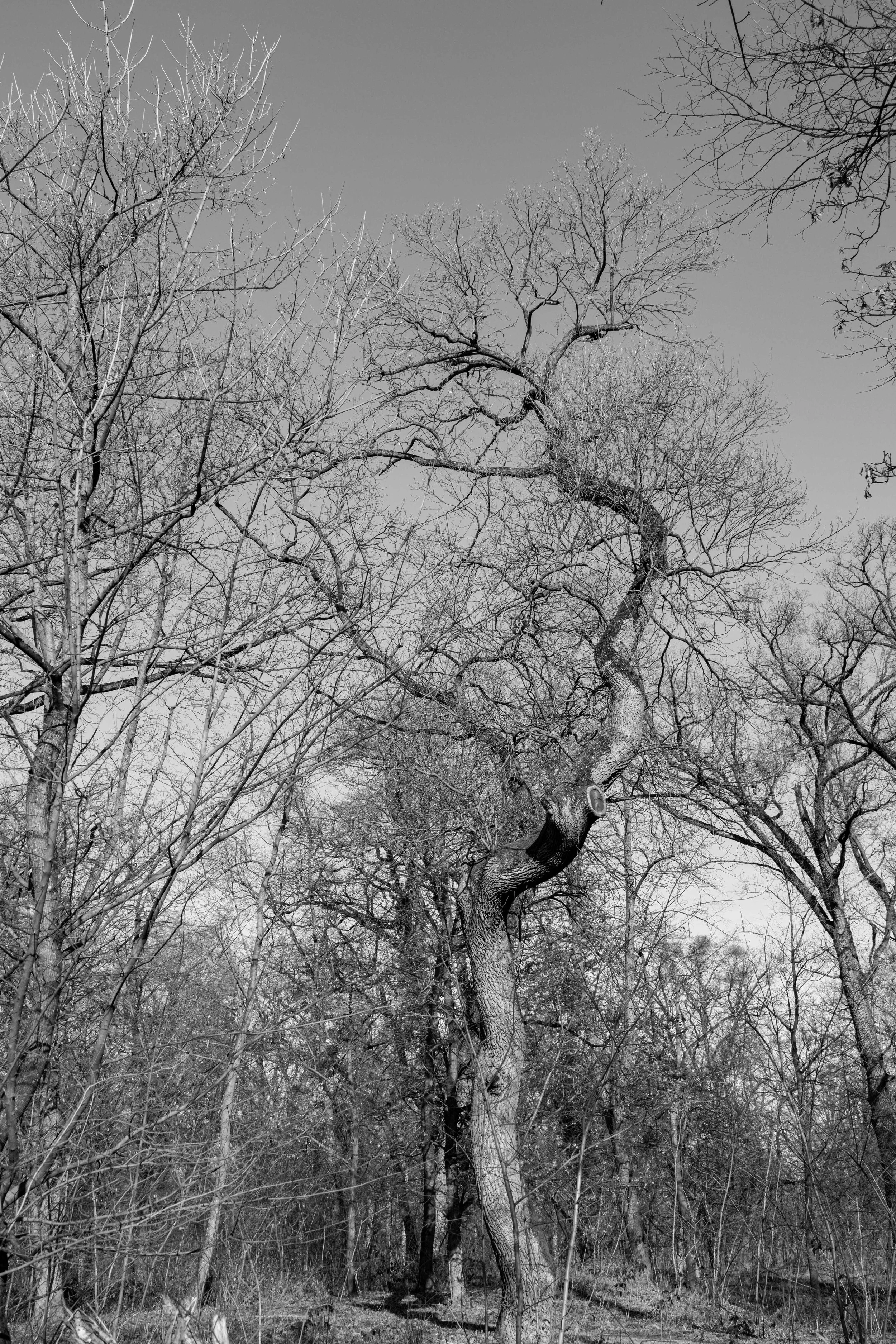 B73A0734-Edit.jpg