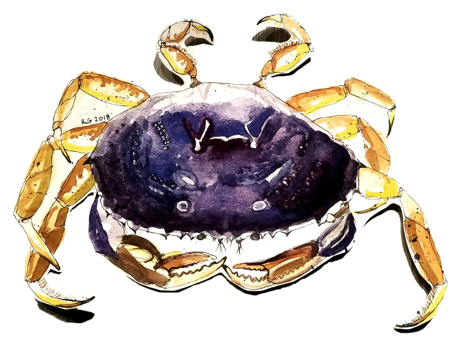 Crab!