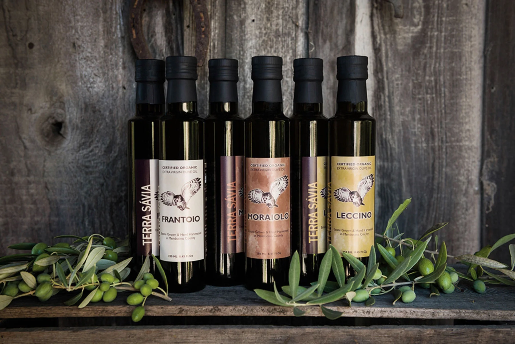 frantoio-moraiolo-leccino-oil-bottles.jpg