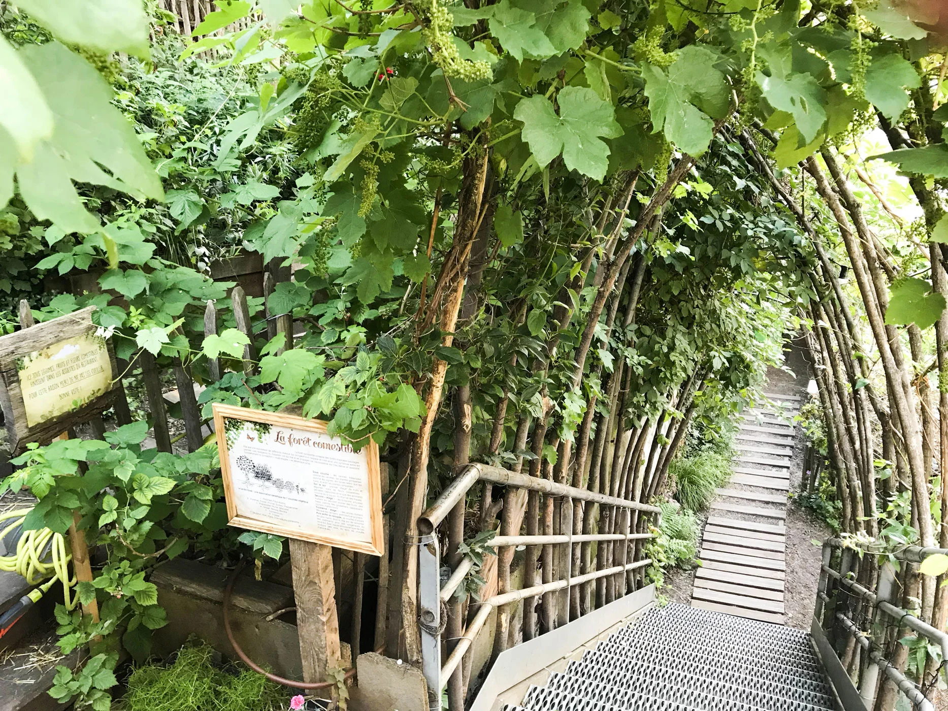 the gardens out back behind Le REcyclery in Paris