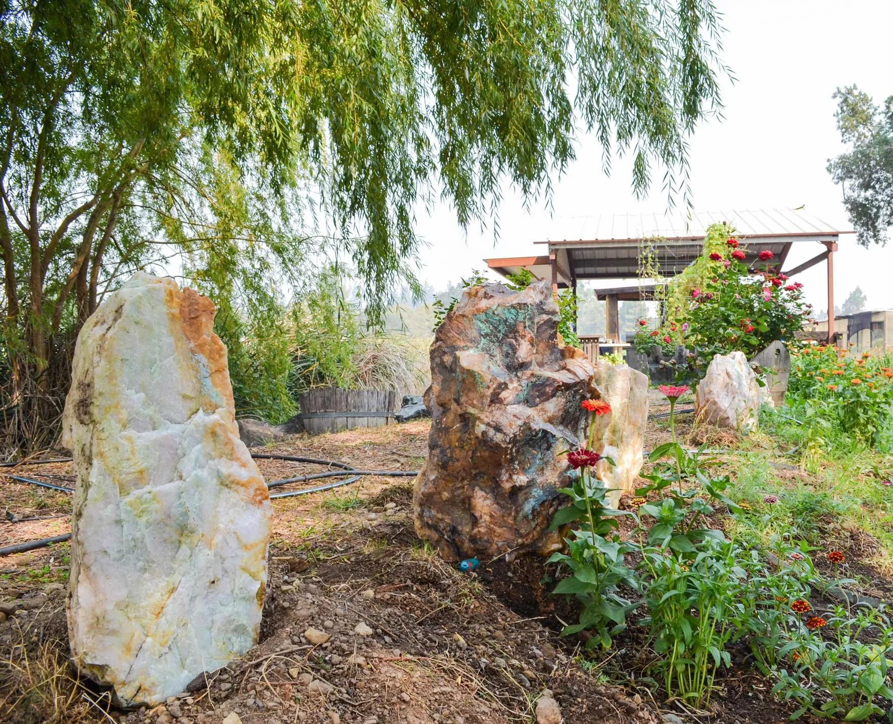 Rose quartz rocks mark the dog graves.