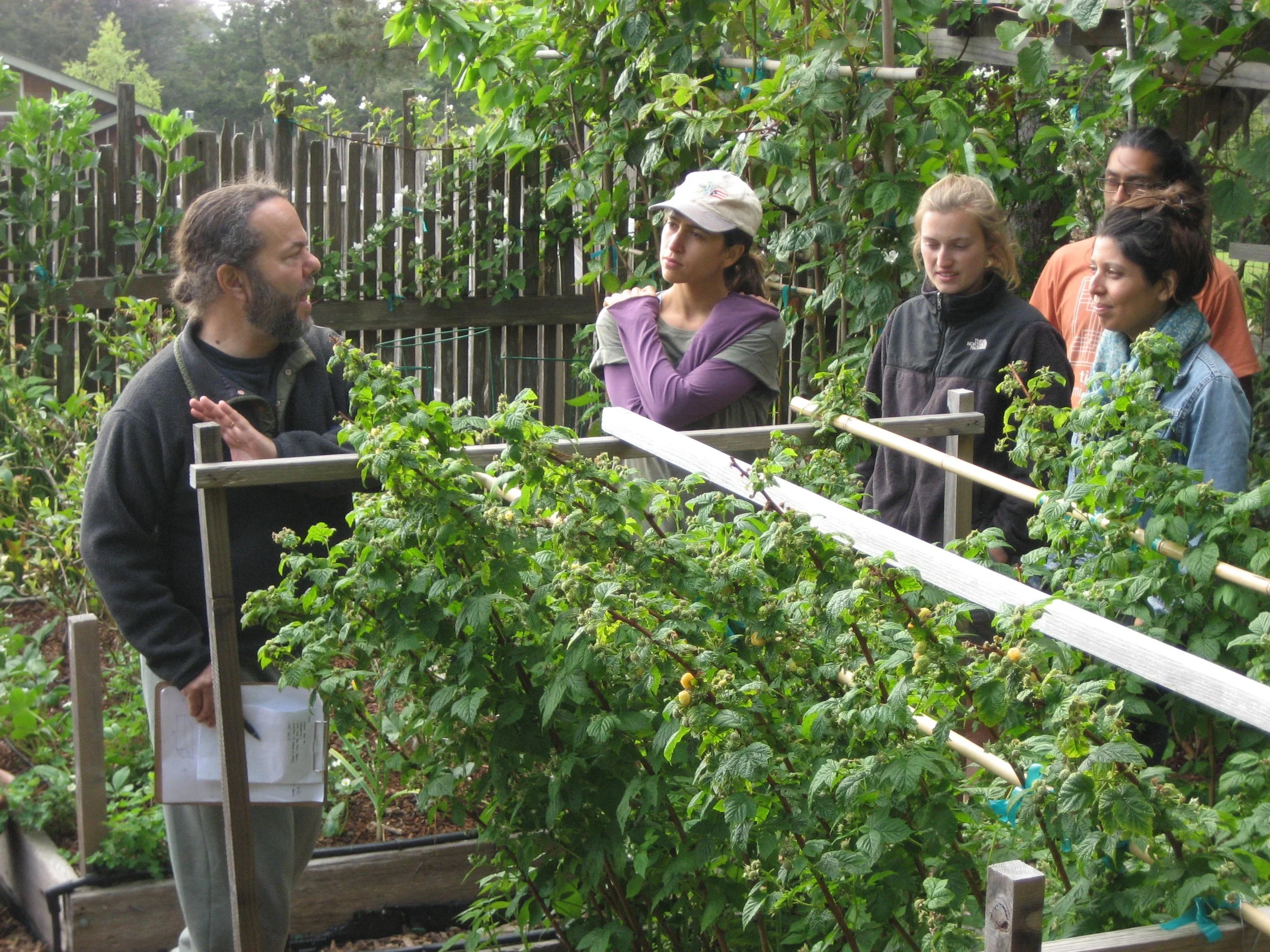 Evan Mills gives Victory Gardens for Peace interns a tour of his Mendocino garden.