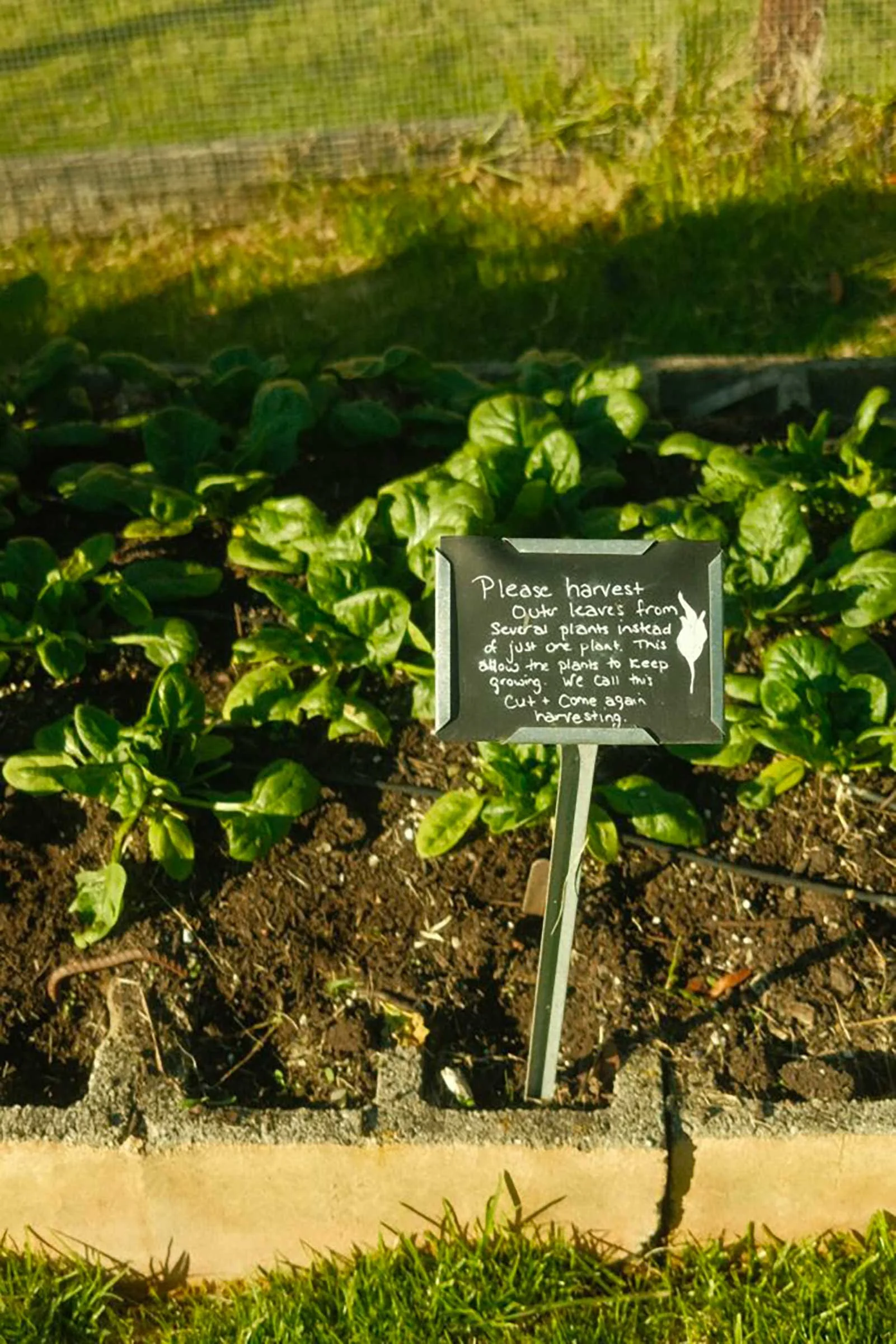 Guests can help themselves to the garden.