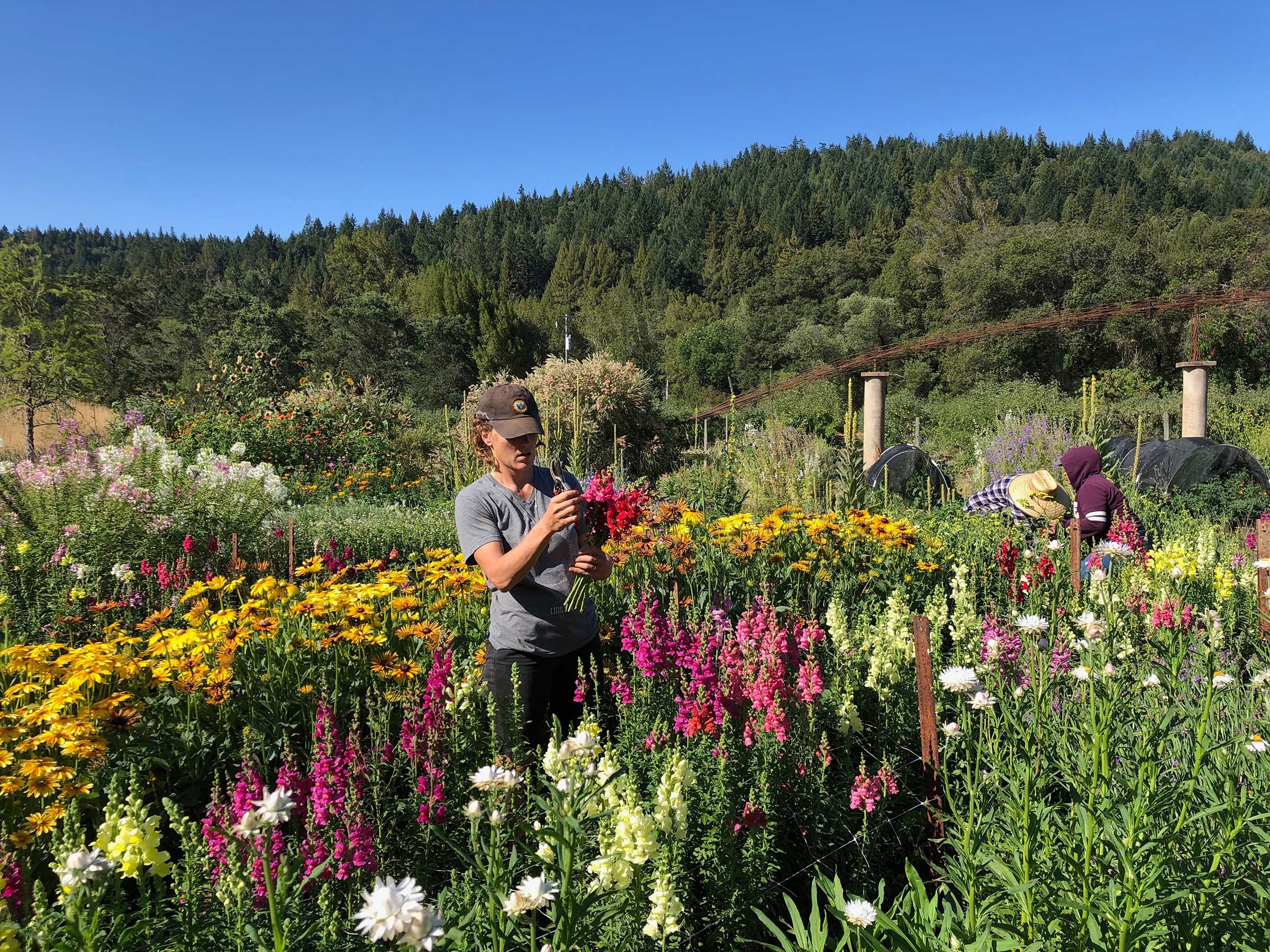 Ingrid examines the flowers