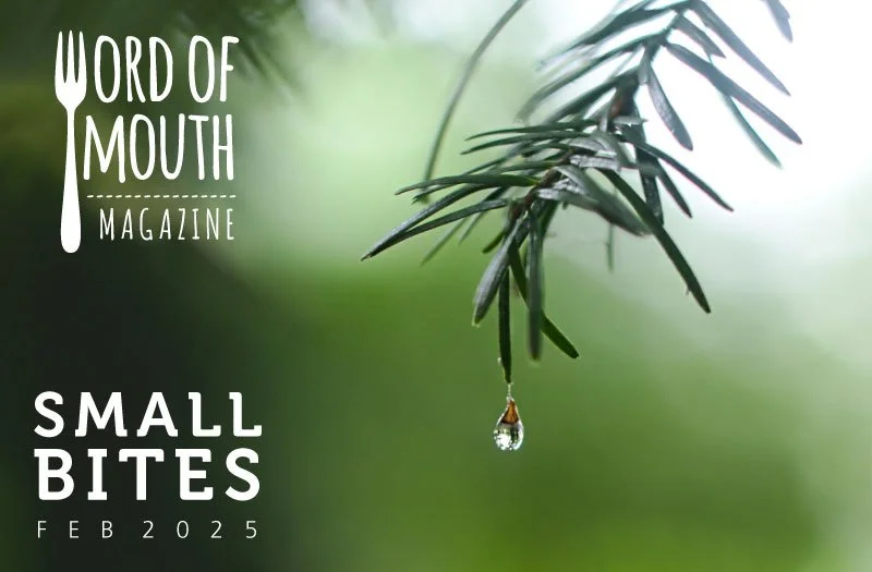 small-bites_header_Feb25.jpg