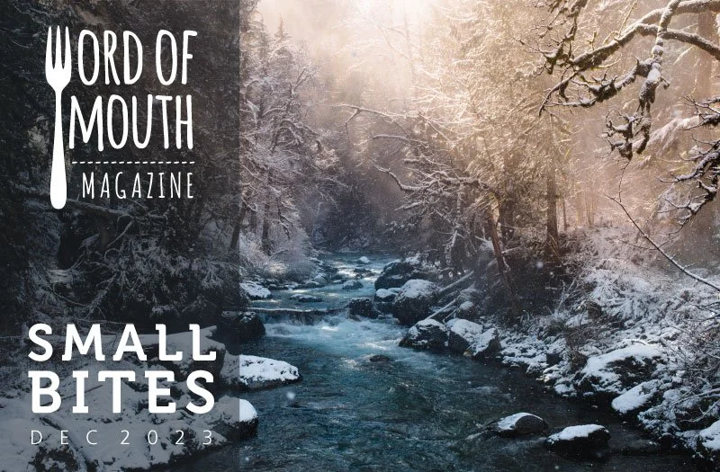 small-bites_header_Dec23.jpg