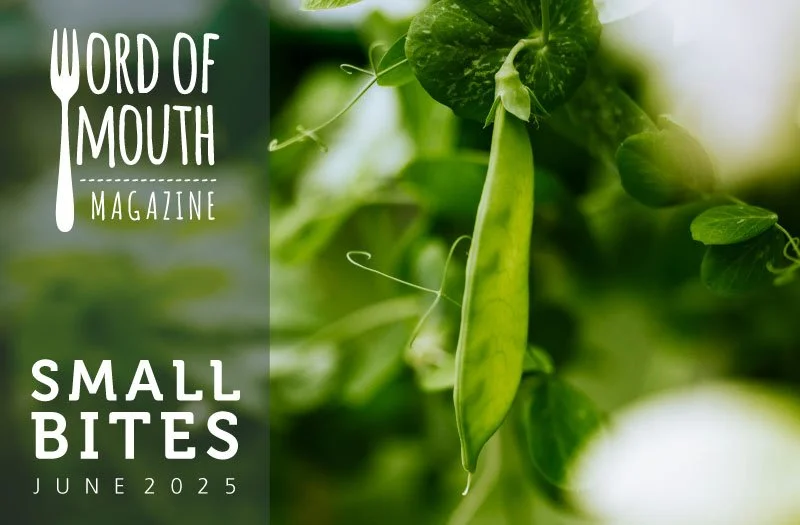 small-bites_header_June25.jpg