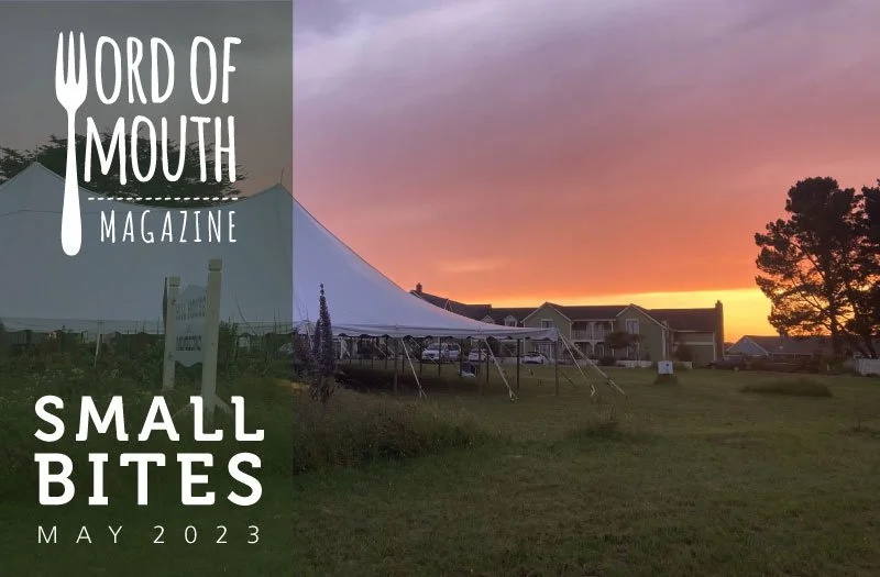 Small Bites May 2023 from Word of Mouth magazine -- image of Mendocino Film Festival tent at sunset (Copy)