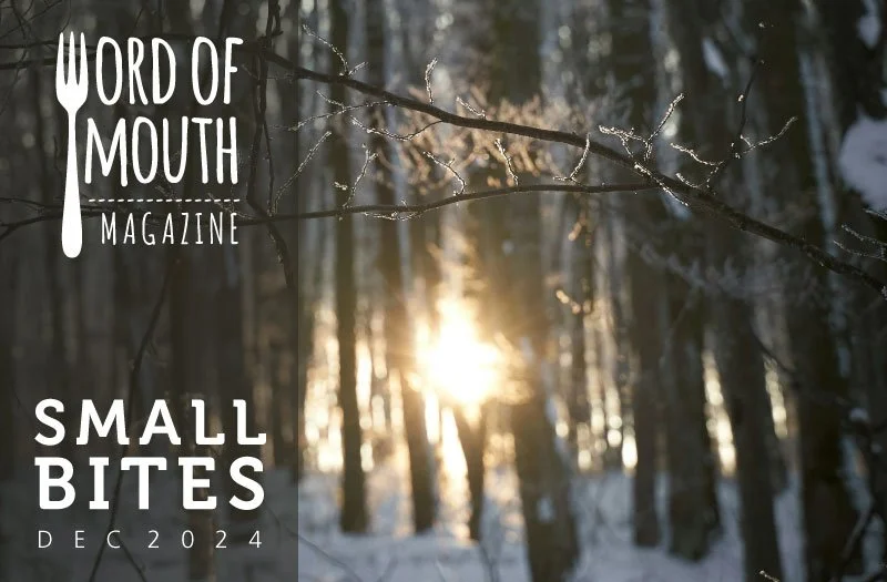 small-bites_header_Dec24.jpg