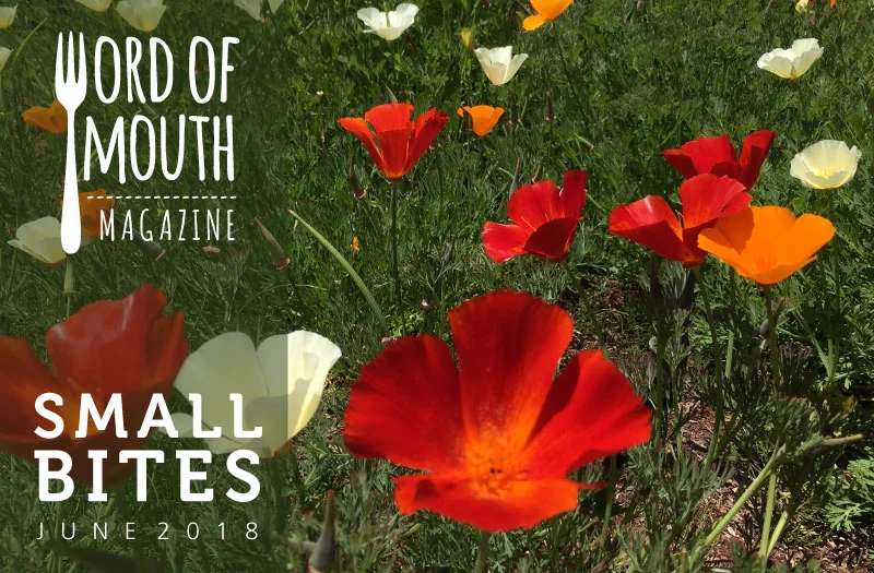 June 2018 Small Bites for Word of Mouth magazine (Copy)