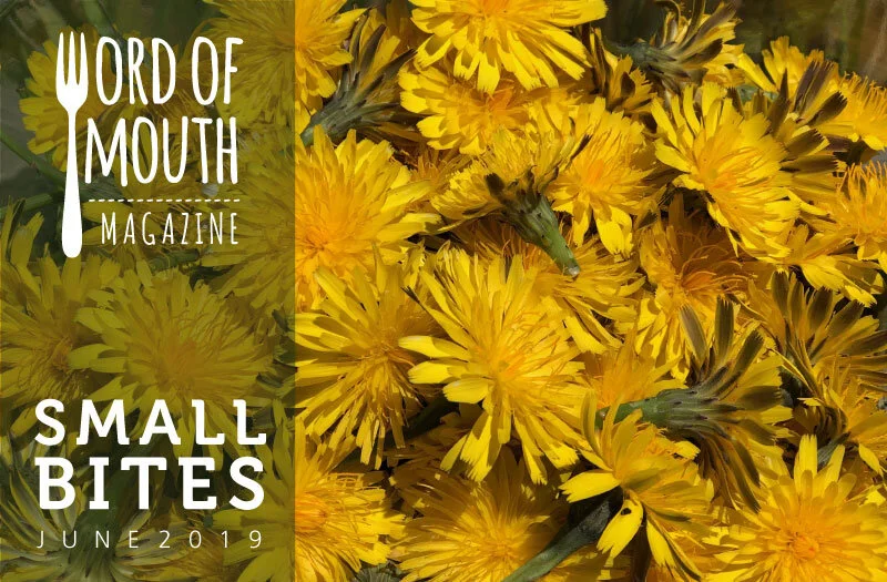 small-bites_header_June19.jpg
