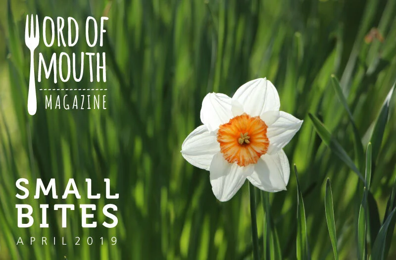 small-bites_header_Apr19.jpg