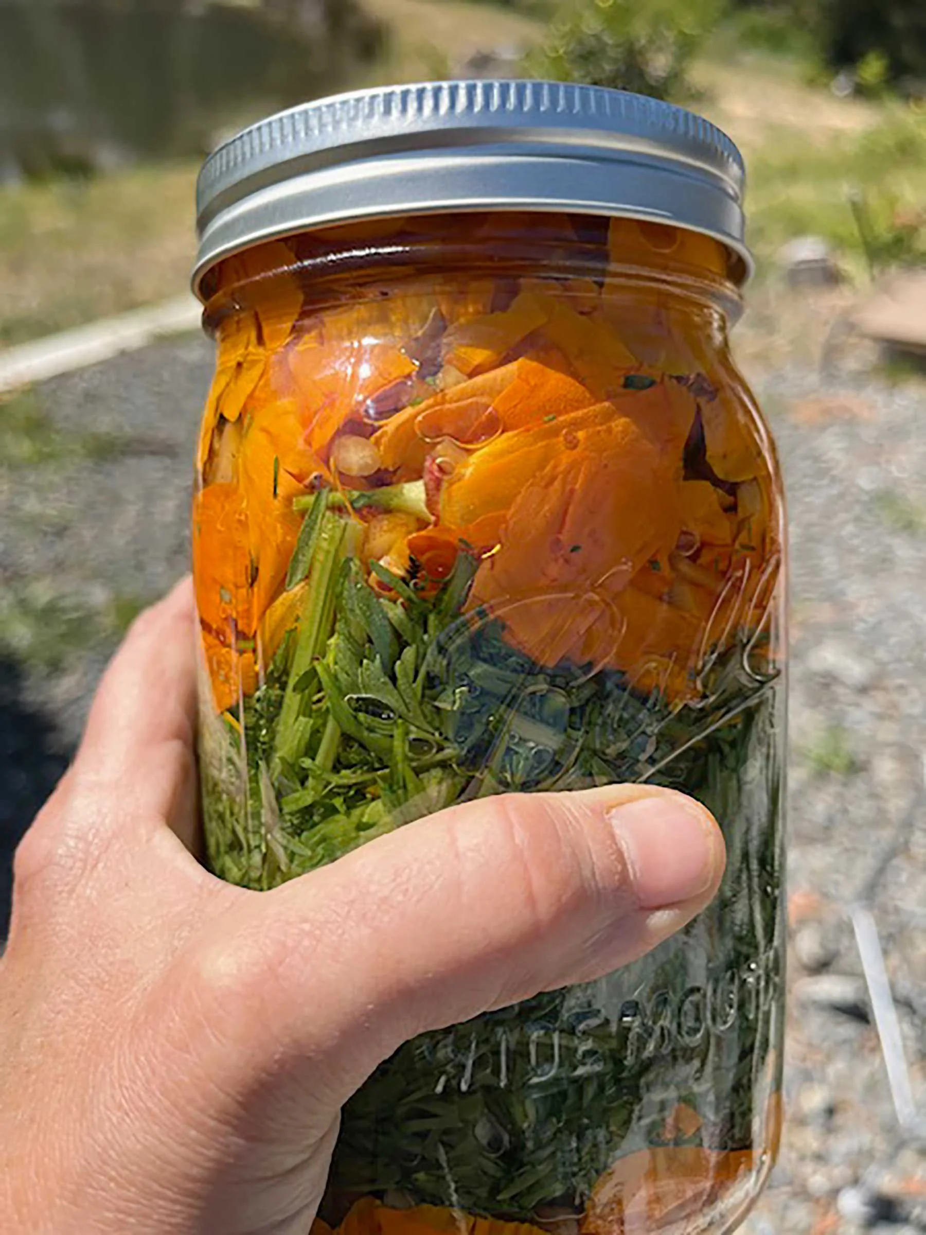 California Poppy tincture supports the nervous system and helps with sleep.