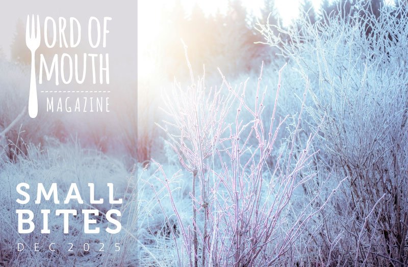 Small Bites December 2025