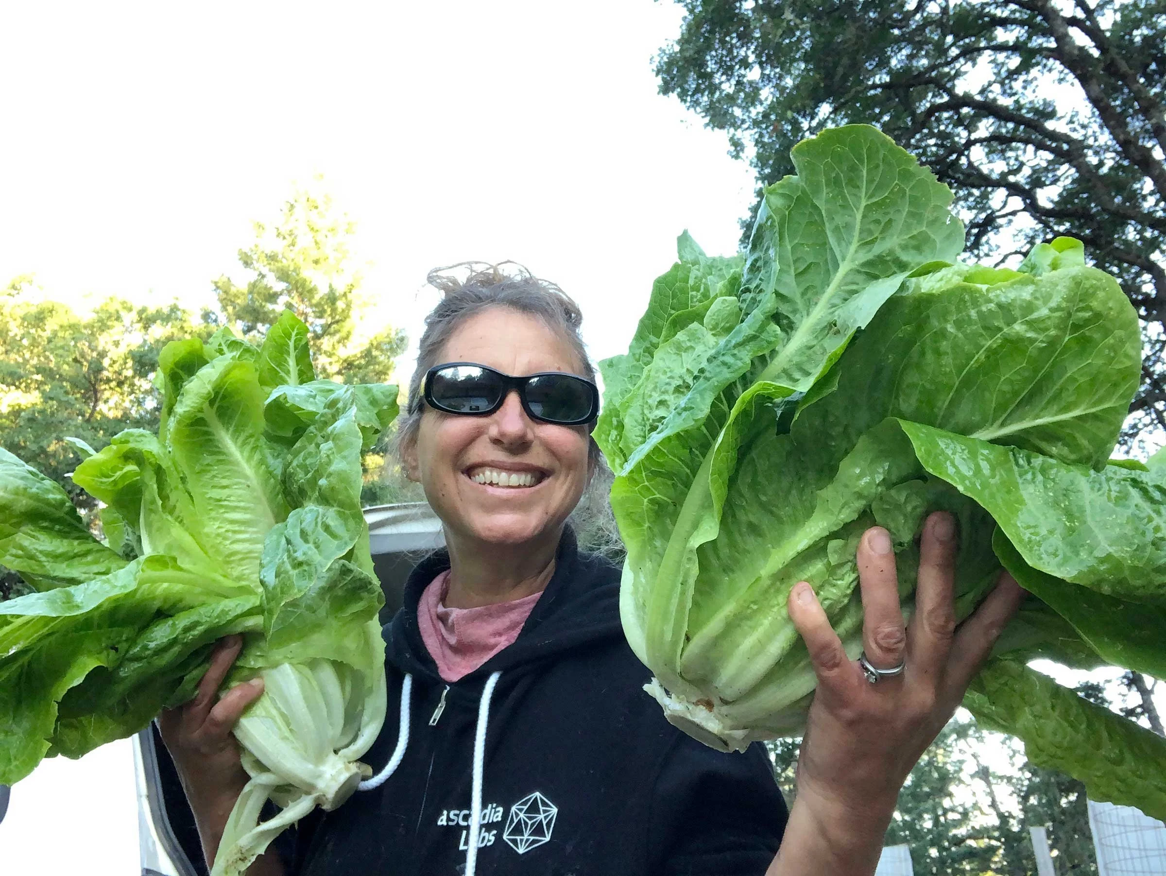 Farm to Family Homestead