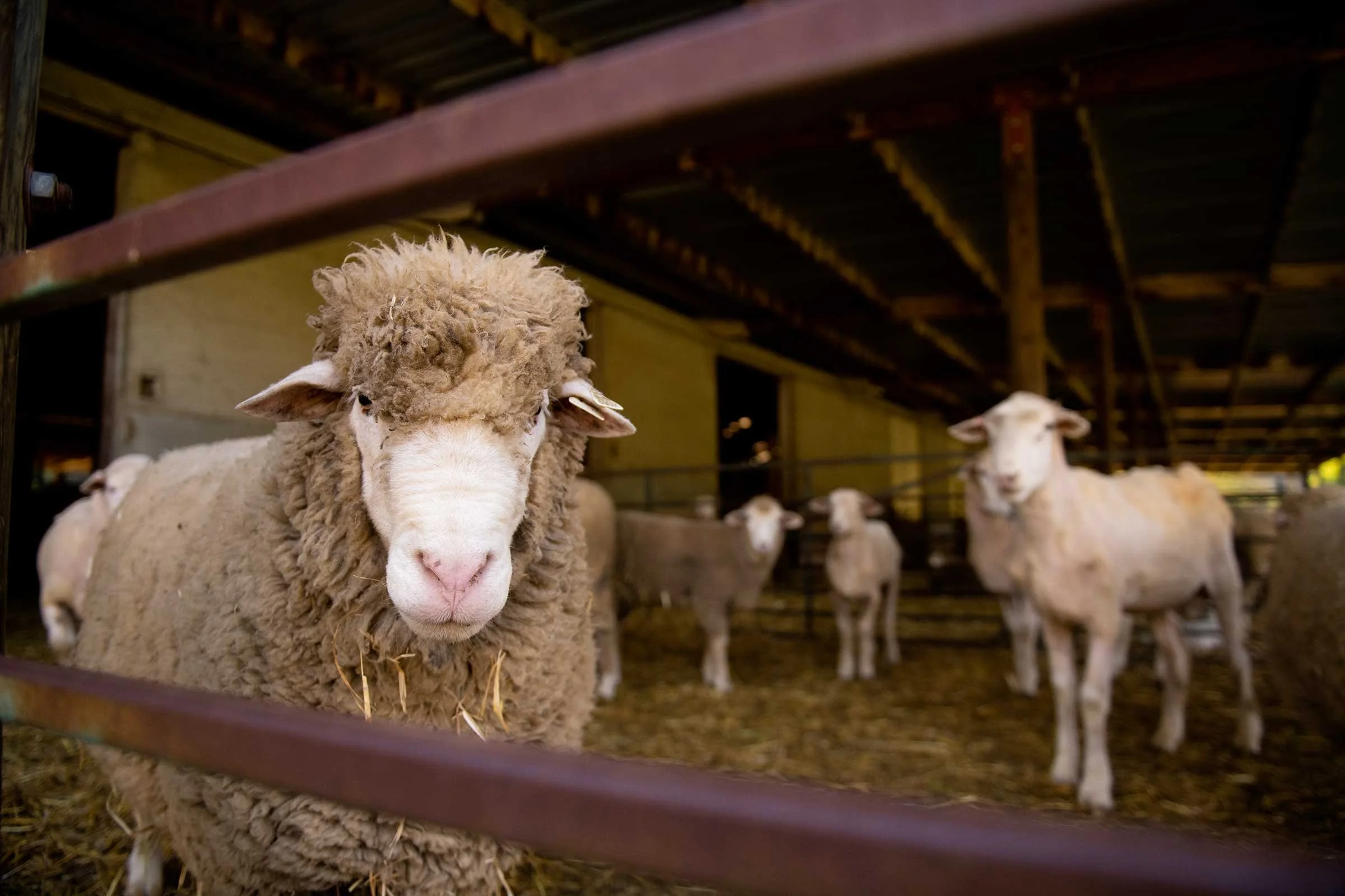 75 Years of Learning