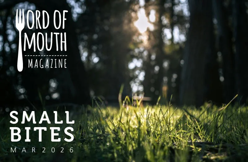 small-bites_header_Mar26.jpg