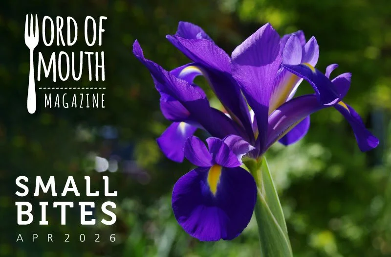 April 2026 Small Bites