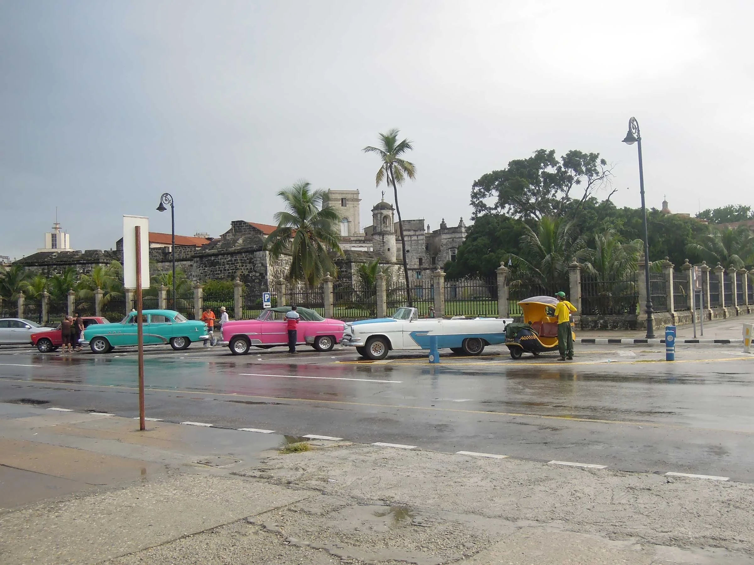 IMG_6263.jpg
