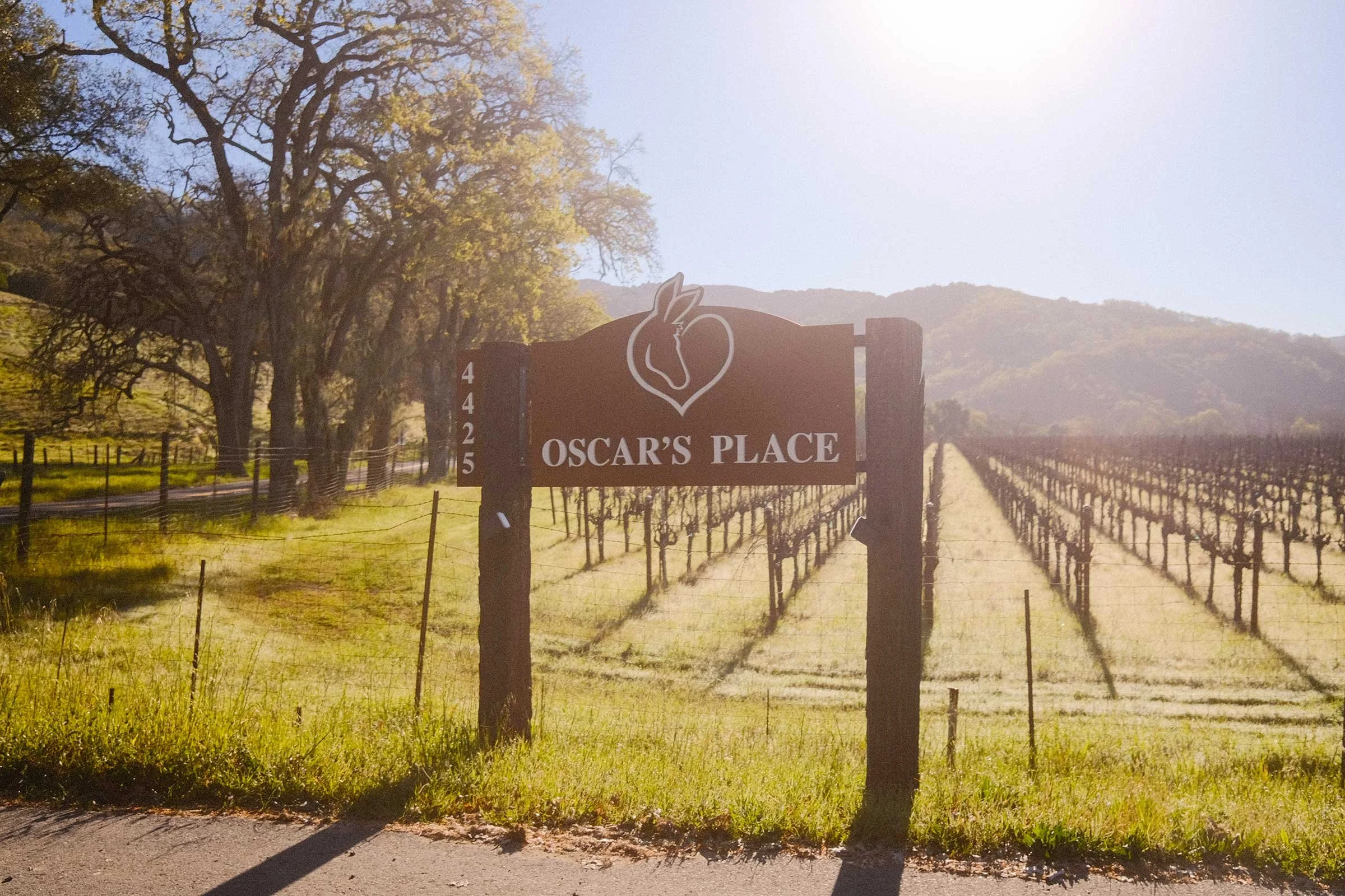 oscars_place_3_11_26_nik_z_photo-1.jpg
