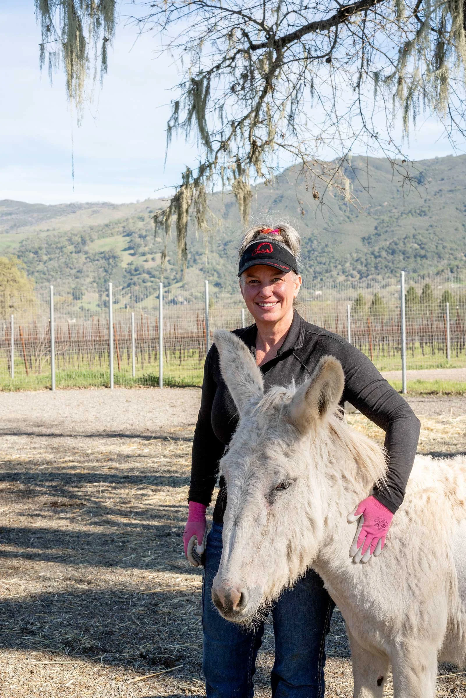 The Donkey Farrier