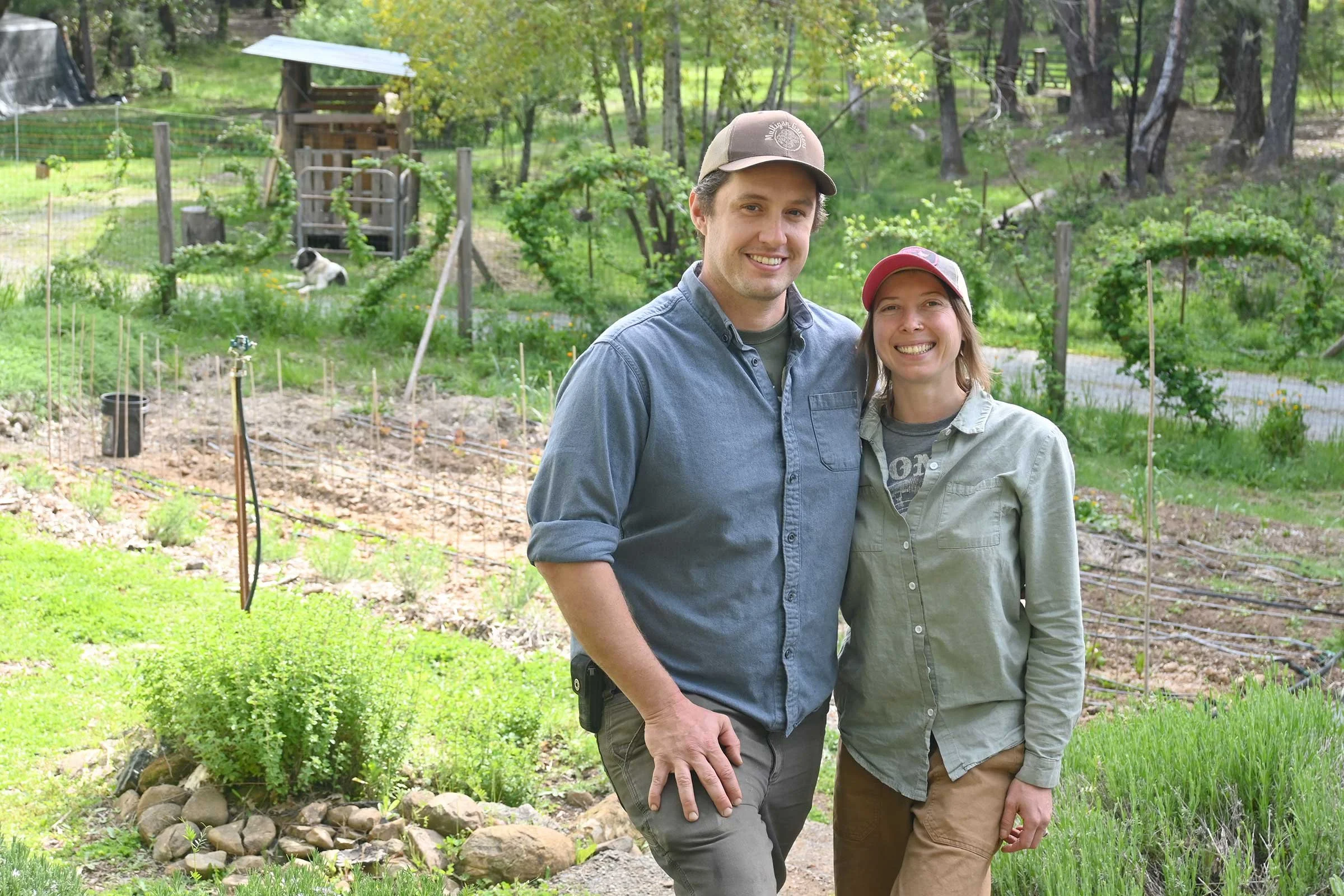 Mulligan Gardens