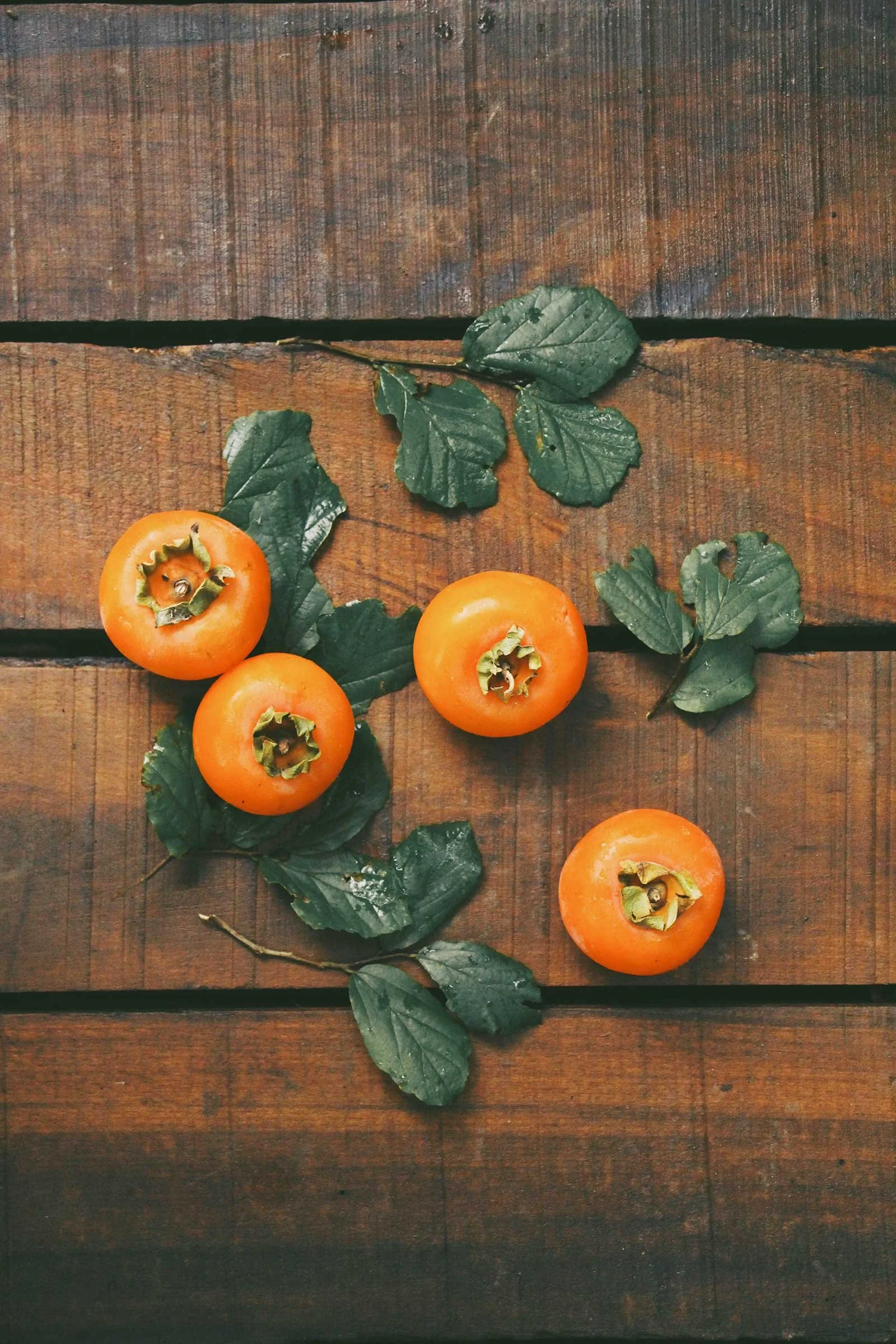 Persimmons