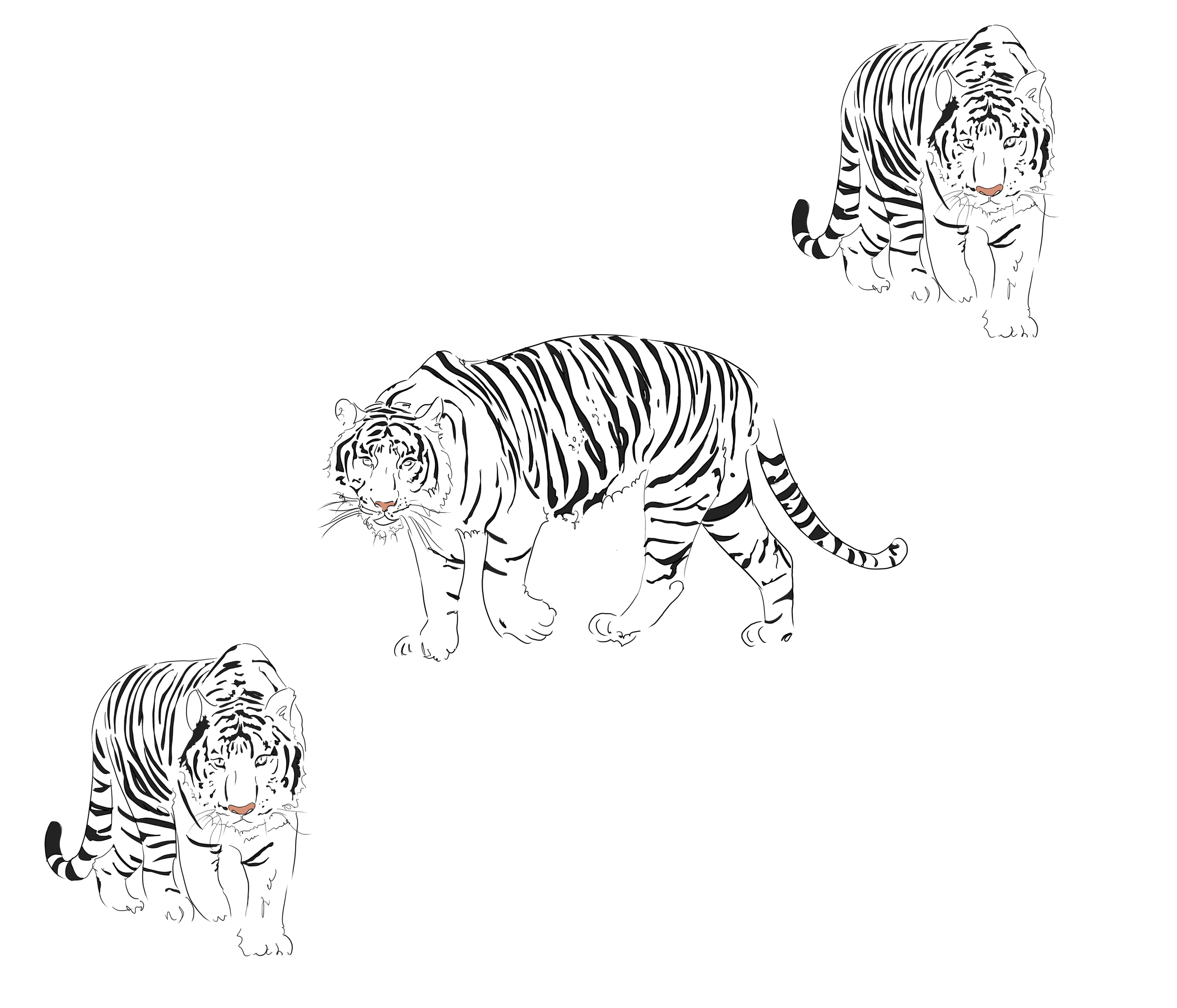 Untitled_Artwork 65.png
