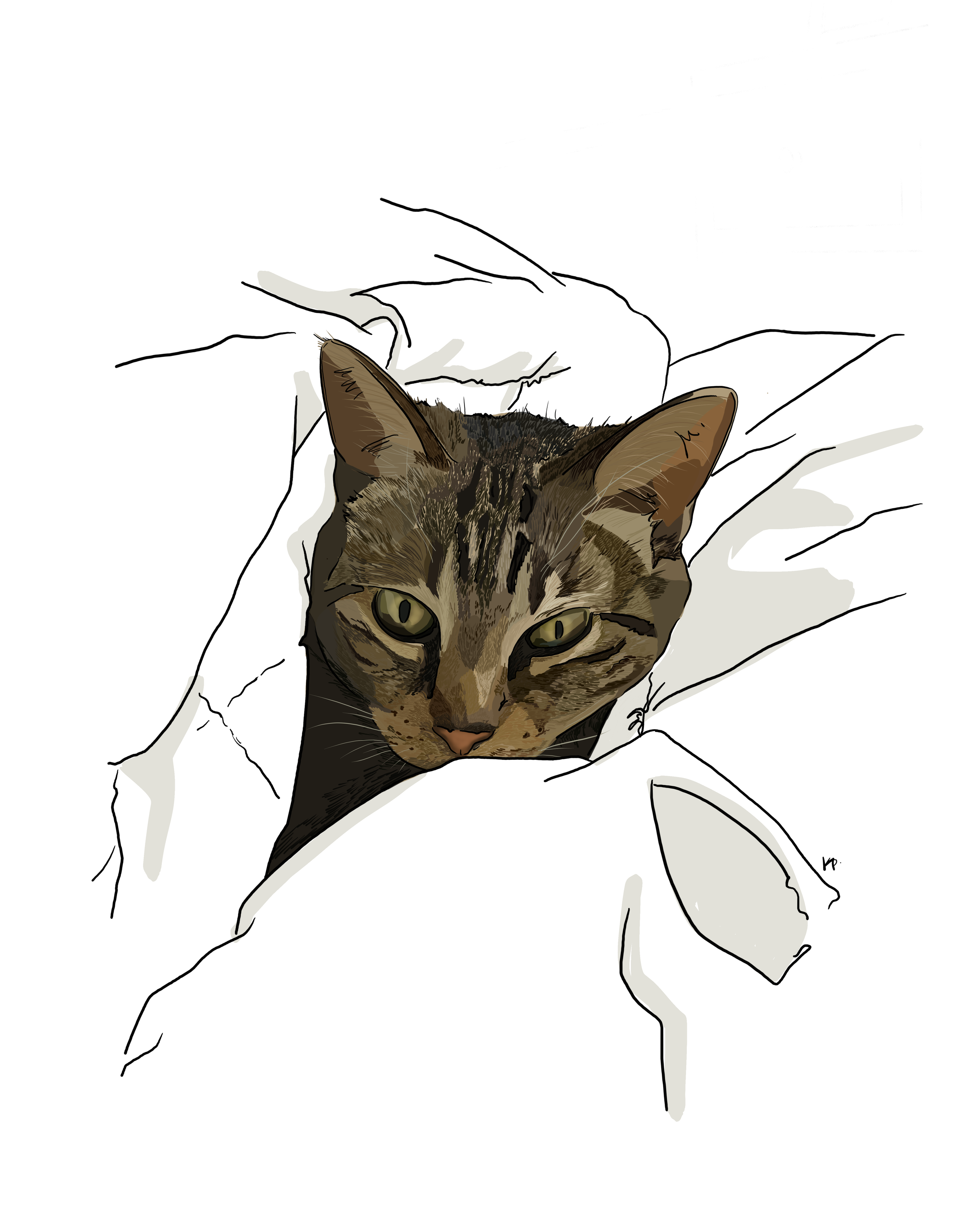 Untitled_Artwork 13.png