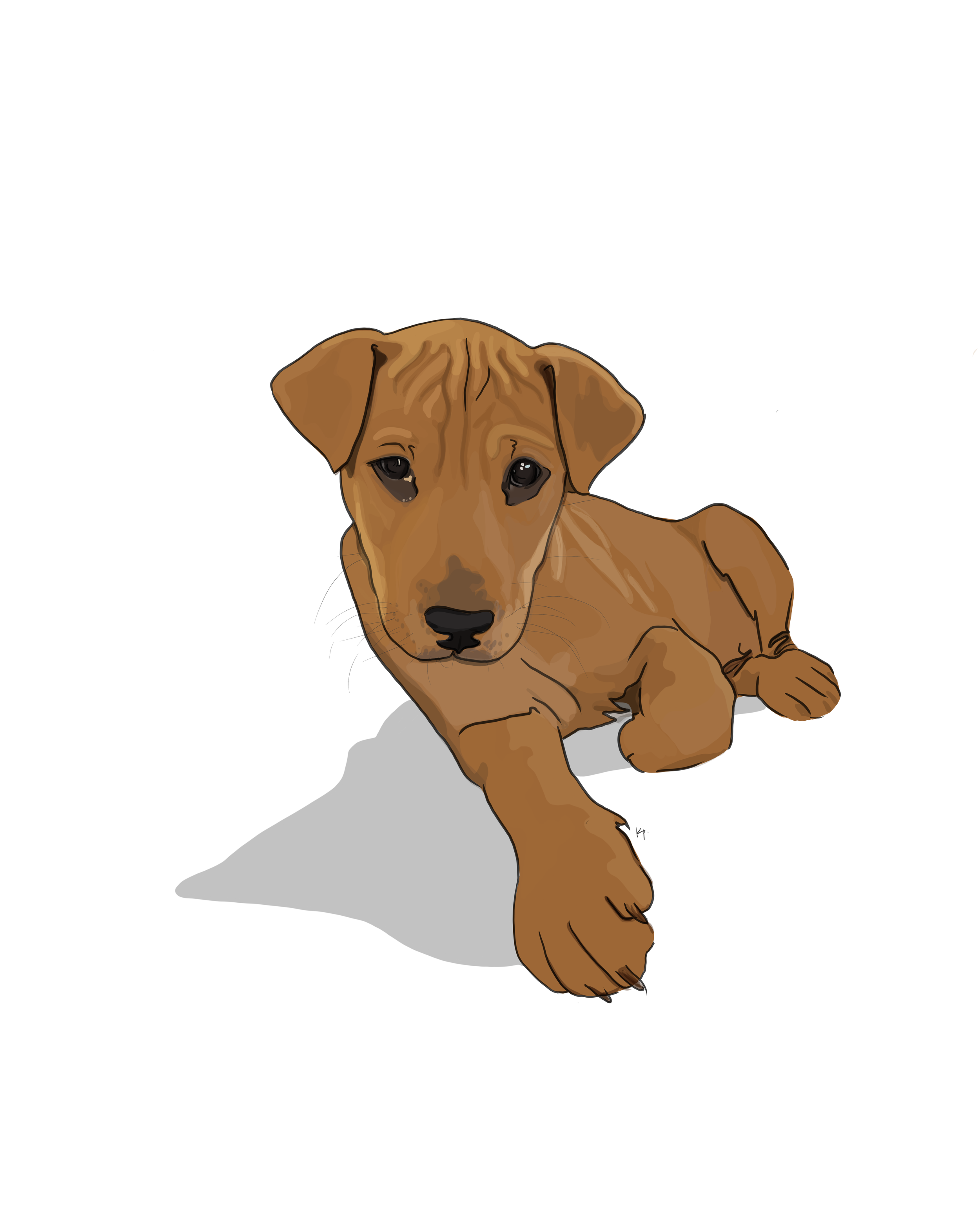 Untitled_Artwork 47.png