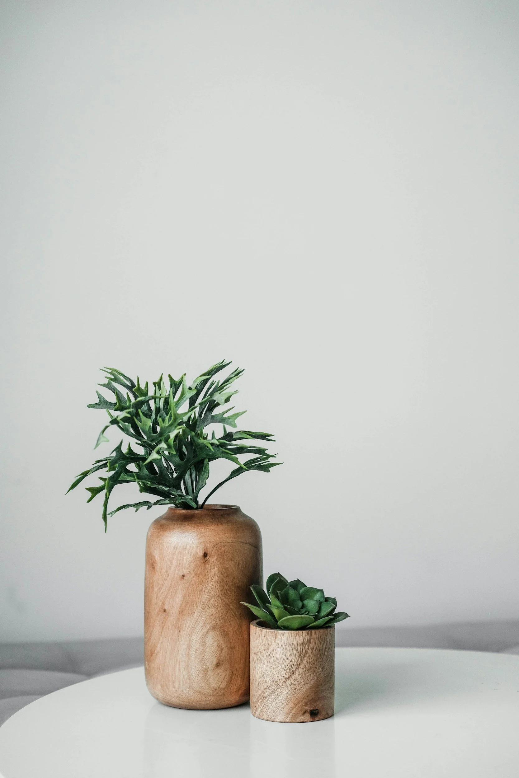 two green plants in brown wooden vases on white table top in religious trauma therapy office in Concord, NC