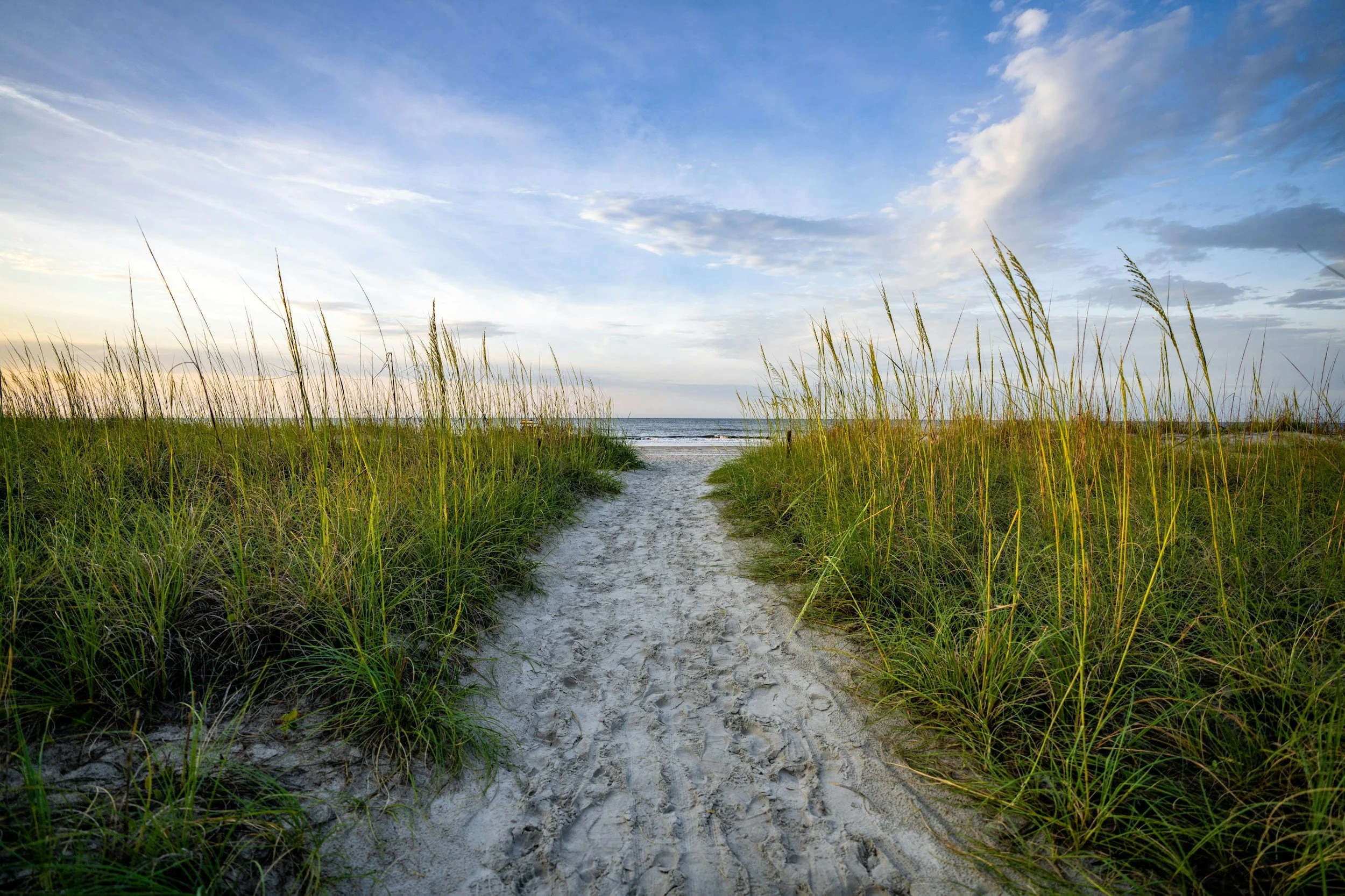 white sandy path through the middle of bright green and yellow reeds leading to the beach with cresting waves under a bright blue sky in South Carolina