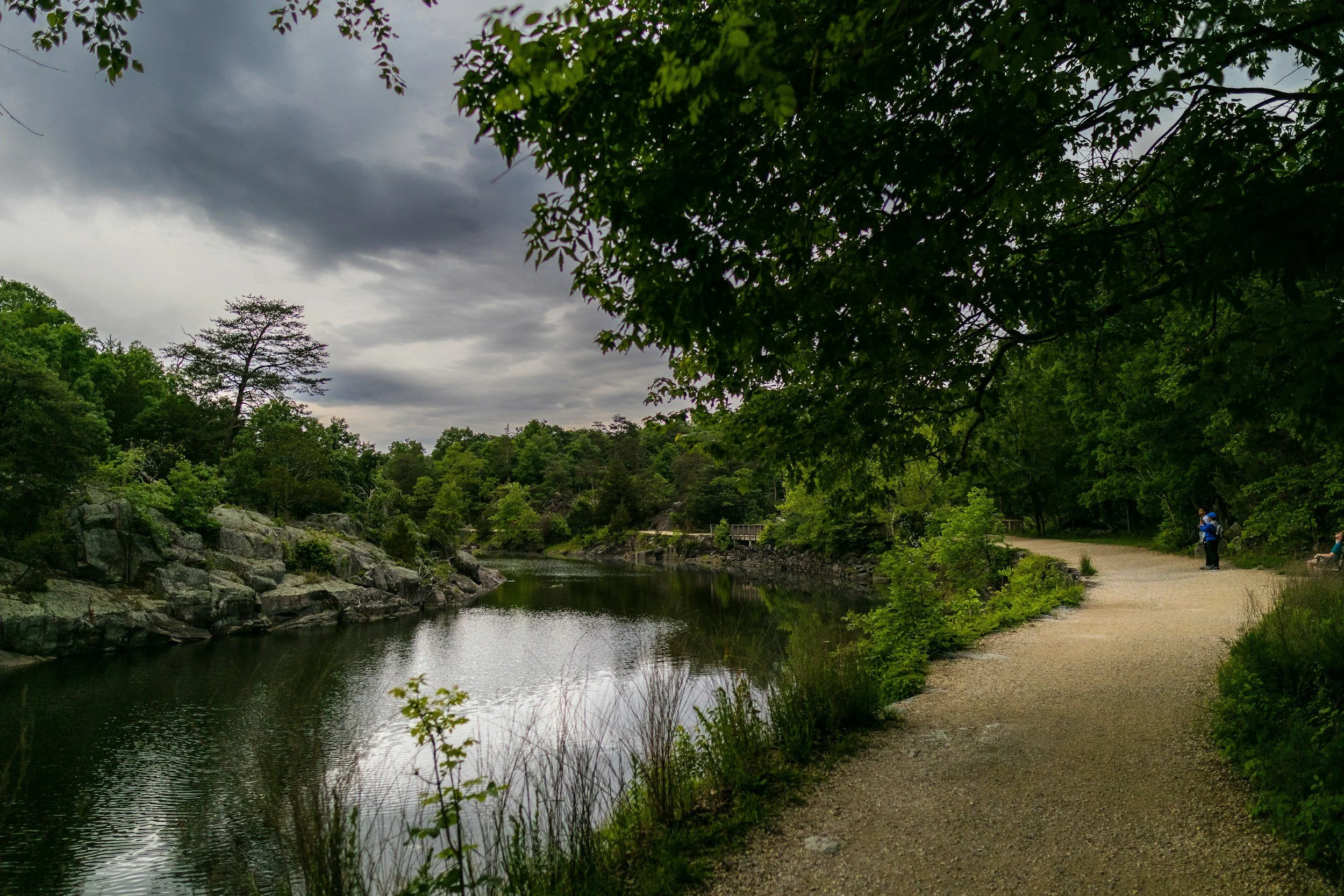 calm pond sourrounded by deep green foliage and grey rocks under a peaceful cloudy sky in Virginia