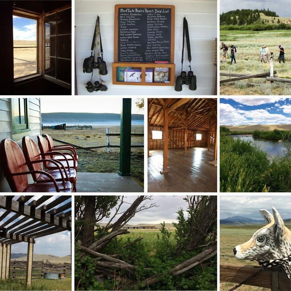 Design Workshop Foundation Selects Rocky Mountain Land Library for 2026 Community Capacity Building Initiative