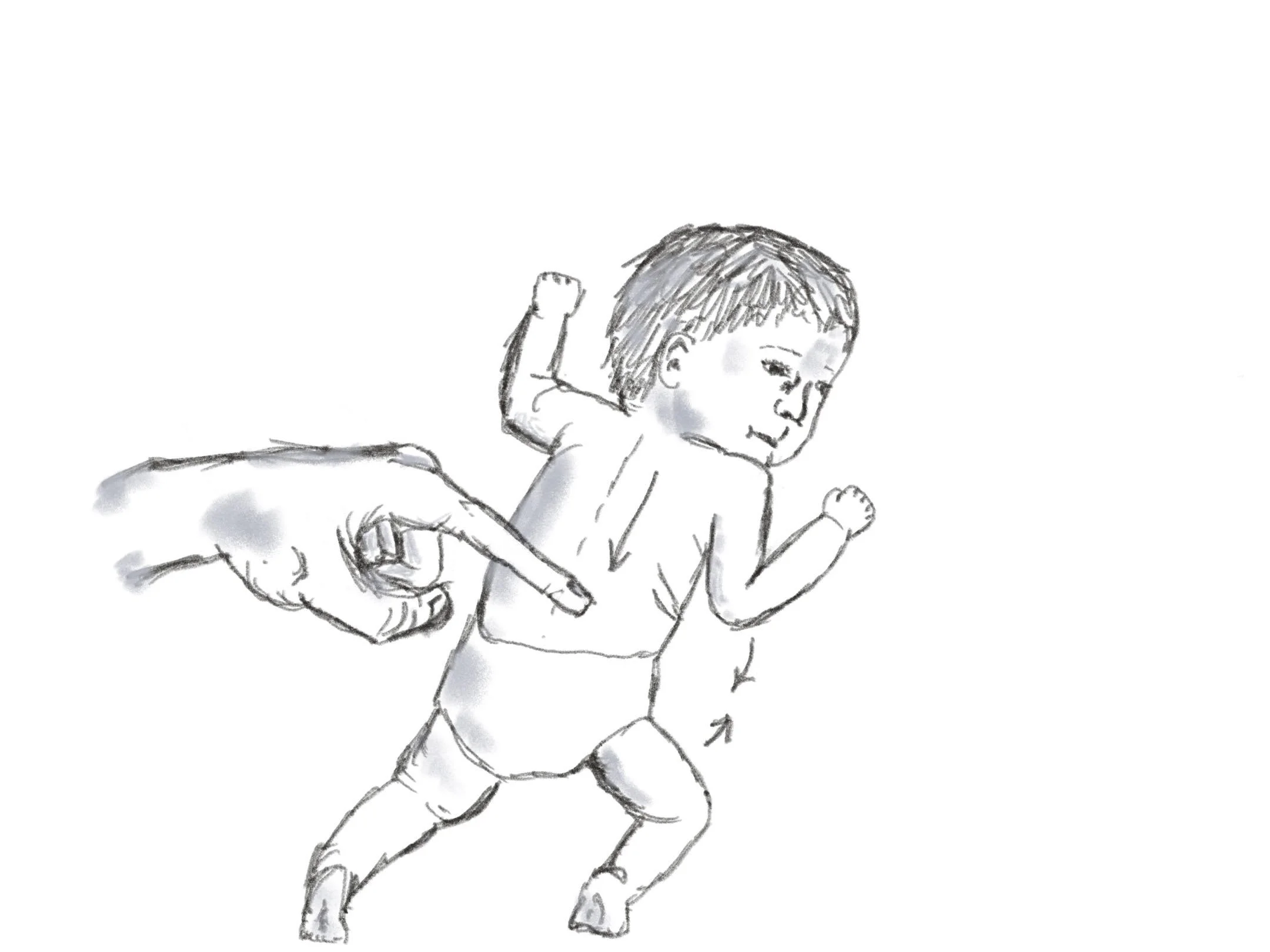 infant spinal galant reflex drawing