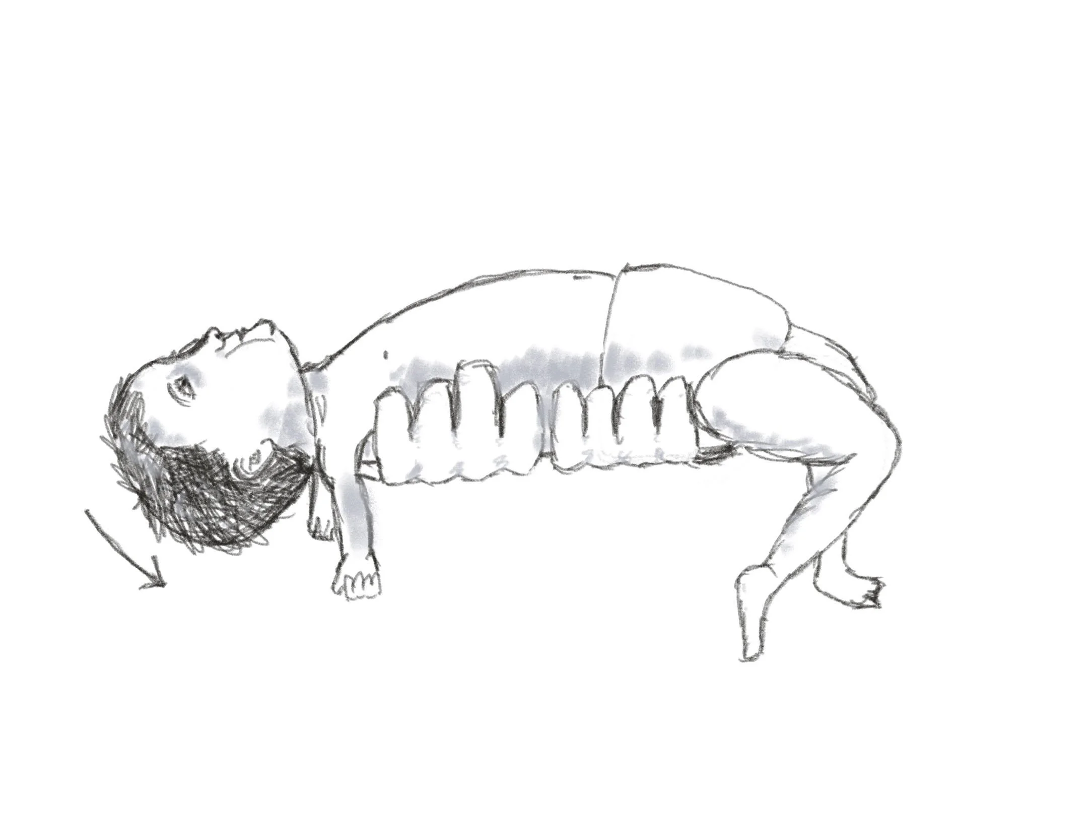 infant tonic labyrinthine supine position drawing