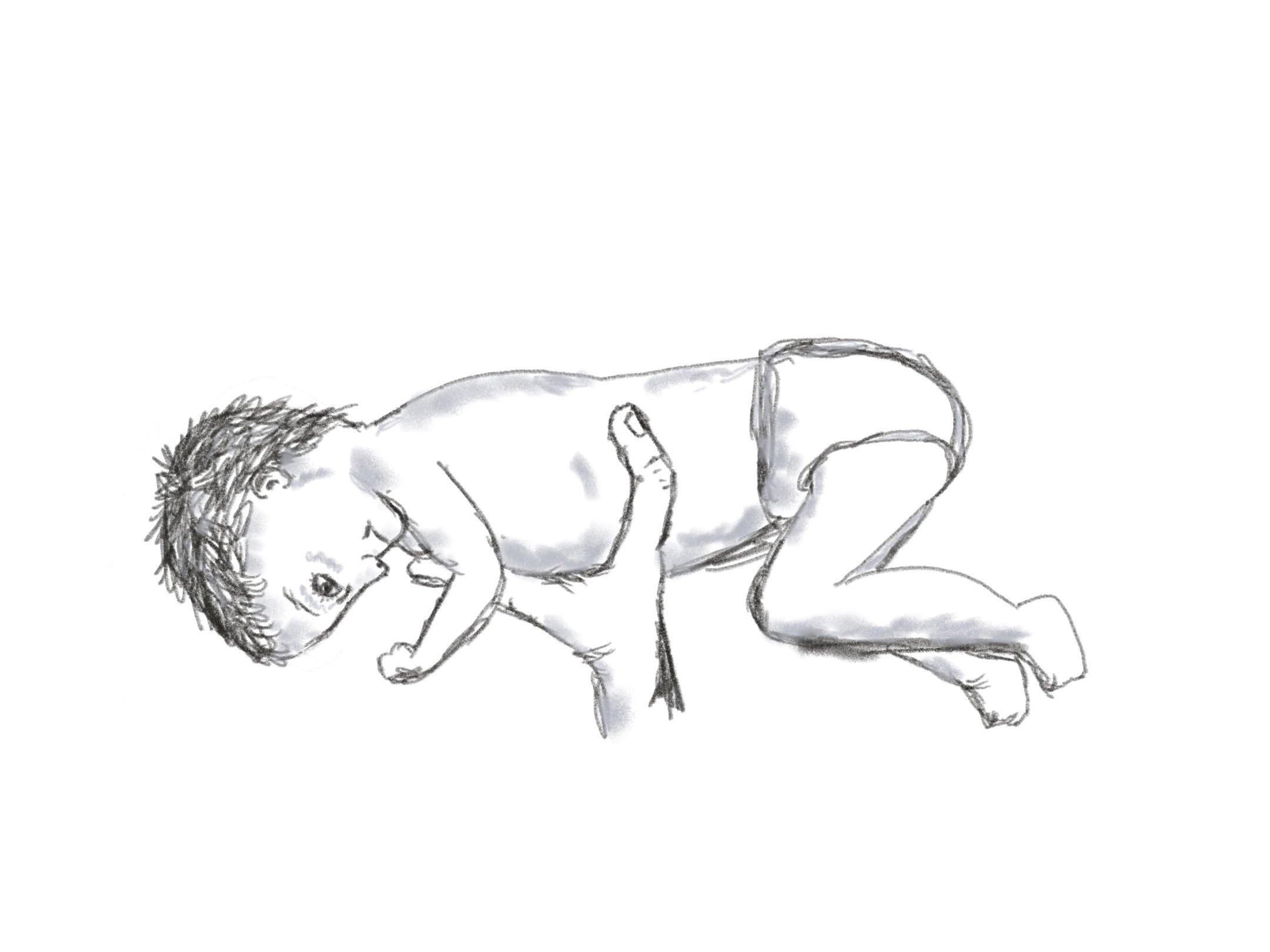 infant tonic labyrinthine reflex TLR drawing