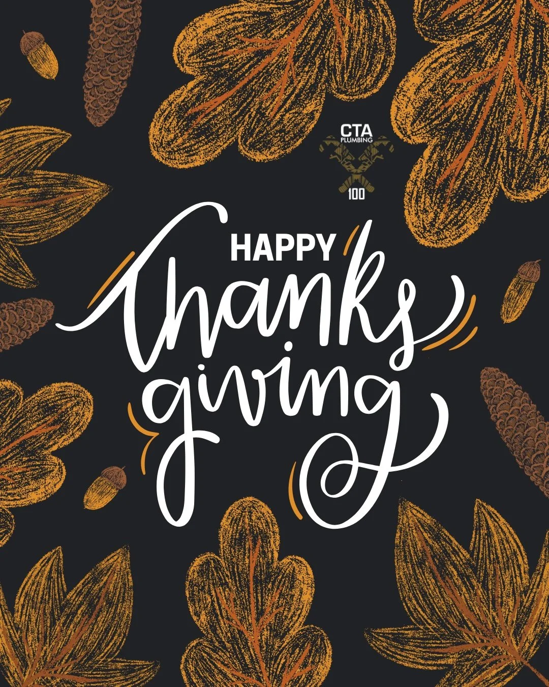 🦃 Happy Thanksgiving from CTA Plumbing 100! 🦃

This Thanksgiving, we&rsquo;re taking a moment to say thank you to our wonderful customers and community. We&rsquo;re grateful for the trust you place in us to keep your plumbing and water systems runn