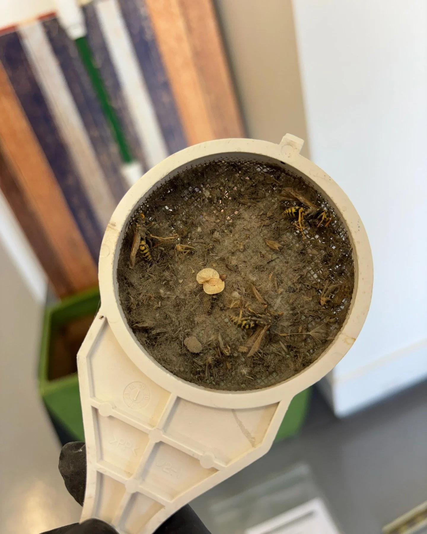This Is Why Tankless Water Heaters Need Service

That buildup you see?
It&rsquo;s debris and mineral sediment pulled from inside a tankless water heater. When this isn&rsquo;t cleaned regularly, it restricts flow, reduces efficiency, and can lead to 
