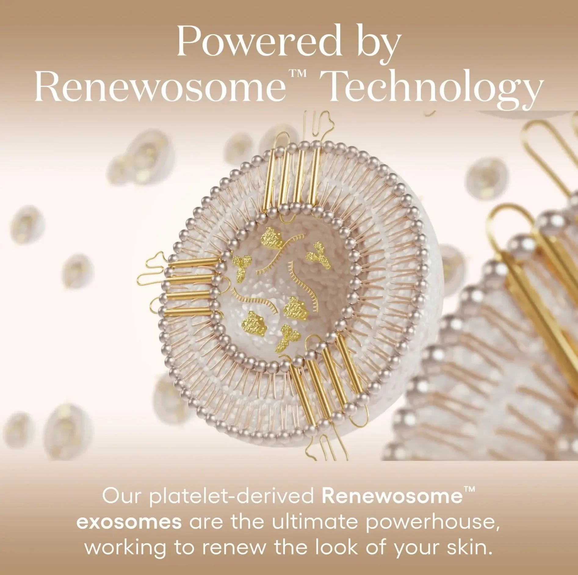 Screenshot 2026-02-21 153419.jpg