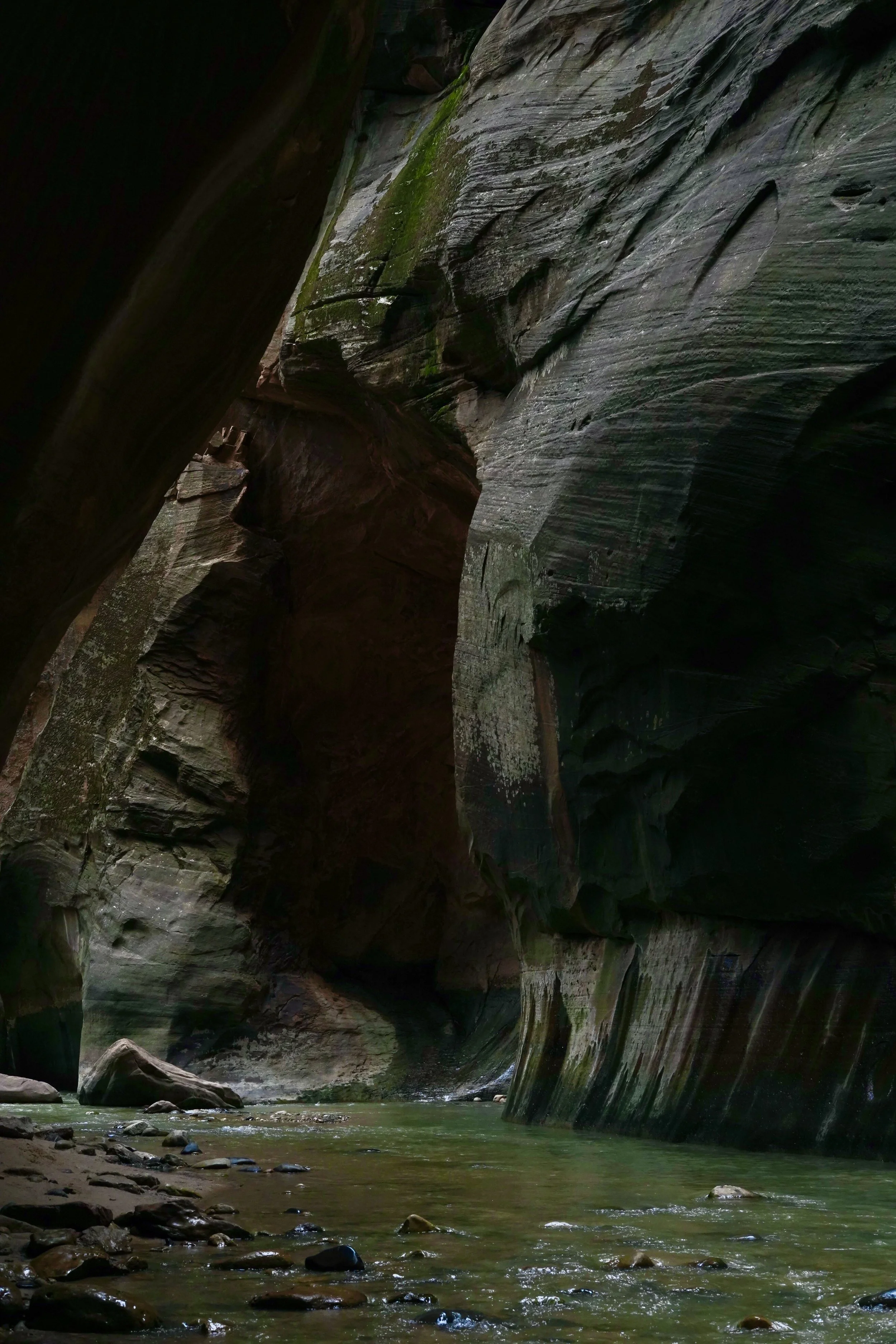 A narrow canyon with high, smooth rock walls and a shallow, flowing creek at the bottom.
