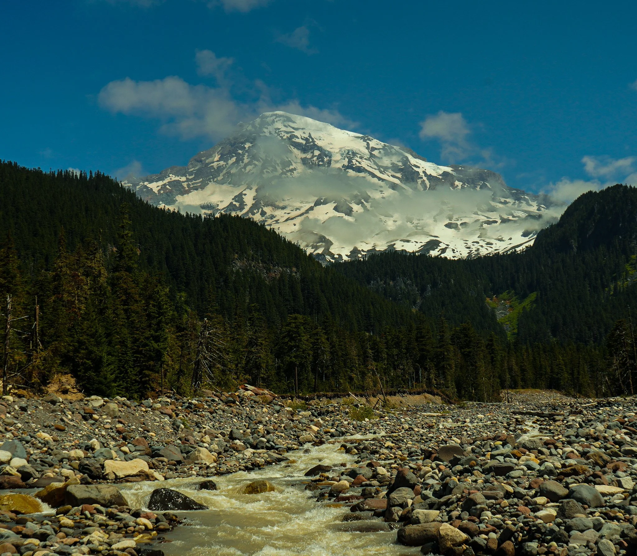 Snow-capped mountain behind a dense forest and rocky riverbed.