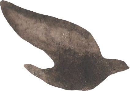 Close-up image of a rough, dark, metallic object with a sharp, pointed tip.