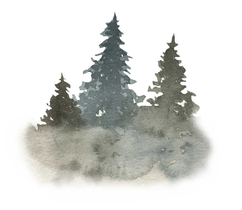 Watercolor painting of three evergreen trees with snow at their base, painted in shades of gray and muted colors.