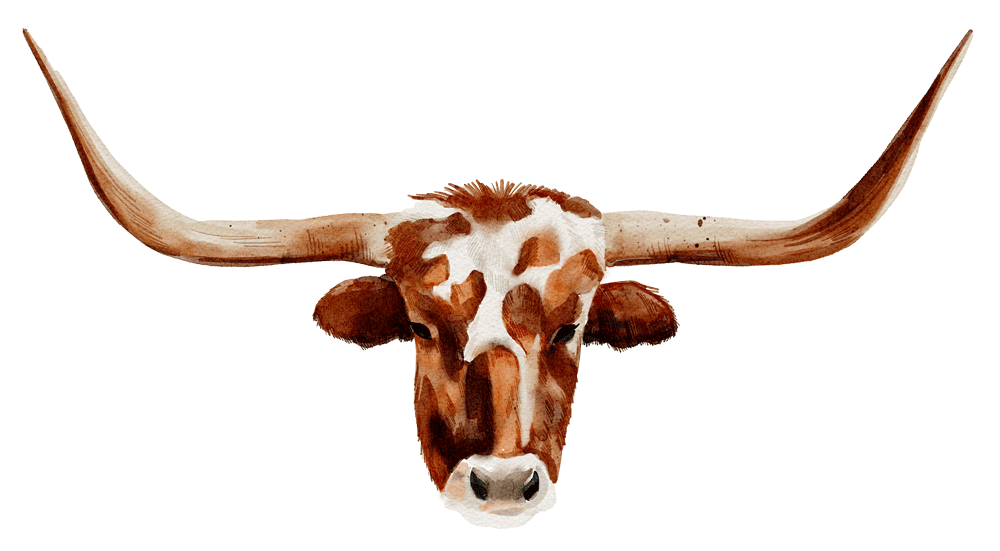 A watercolor illustration of a cow's head with large horns, facing forward.