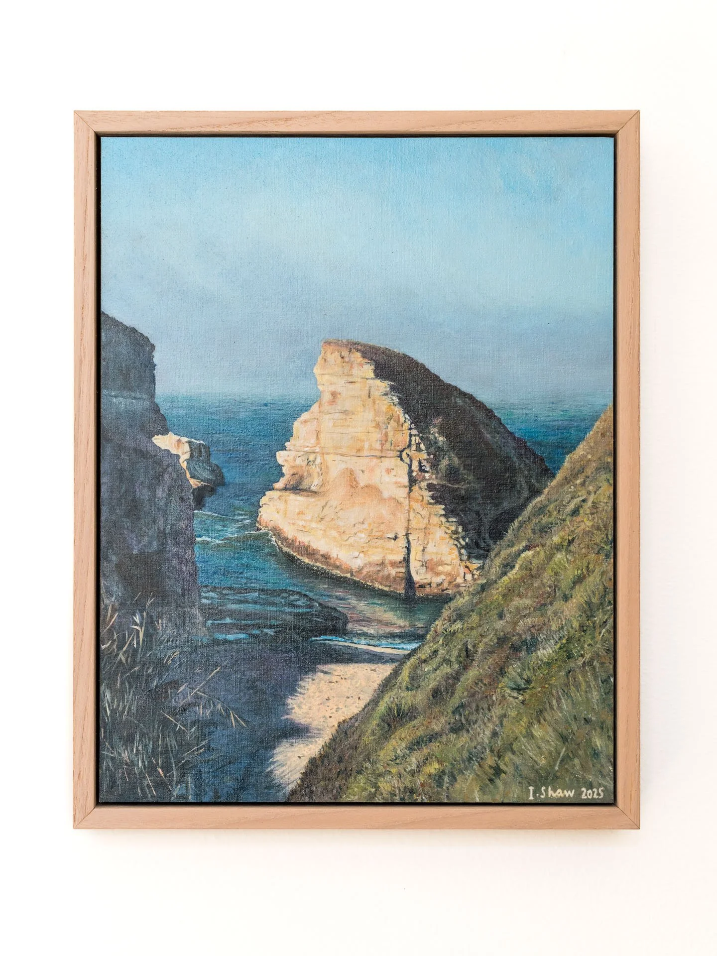 Shark Fin Cove (Original)